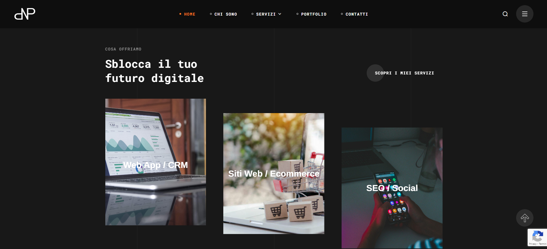 Home page di NP Service